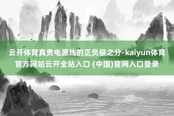 云开体育真贵电源线的正负极之分-kaiyun体育官方网站云开全站入口 (中国)官网入口登录