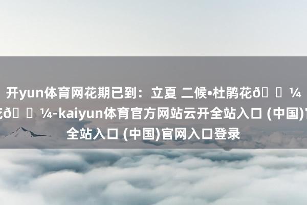 开yun体育网花期已到：立夏 二候•杜鹃花🌼、钝叶杜鹃花🌼-kaiyun体育官方网站云开全站入口 (中国)官网入口登录