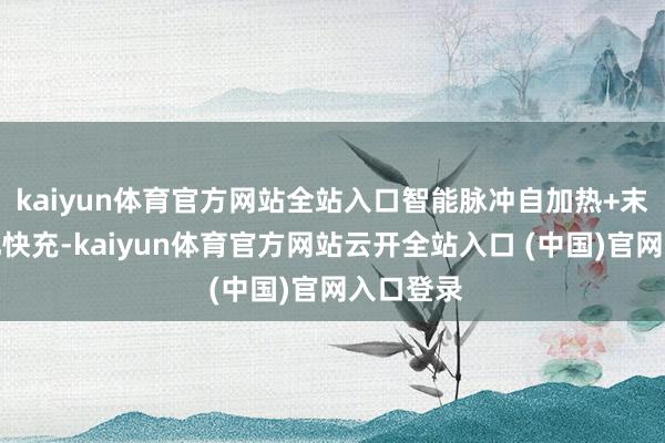 kaiyun体育官方网站全站入口智能脉冲自加热+末端去极化快充-kaiyun体育官方网站云开全站入口 (中国)官网入口登录