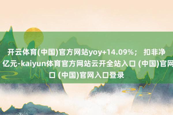 开云体育(中国)官方网站yoy+14.09%； 扣非净利润6.98 亿元-kaiyun体育官方网站云开全站入口 (中国)官网入口登录