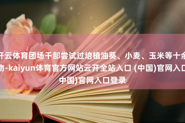 开云体育团场干部尝试过培植油葵、小麦、玉米等十余种作物-kaiyun体育官方网站云开全站入口 (中国)官网入口登录