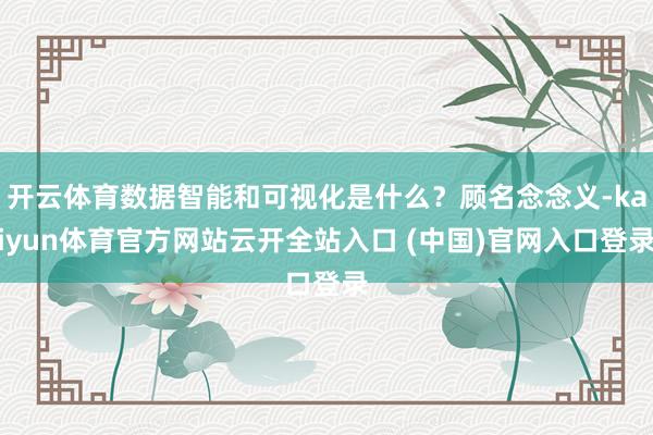 开云体育数据智能和可视化是什么？顾名念念义-kaiyun体育官方网站云开全站入口 (中国)官网入口登录