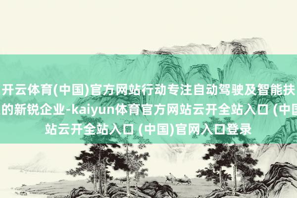 开云体育(中国)官方网站行动专注自动驾驶及智能扶持驾驶芯片研发的新锐企业-kaiyun体育官方网站云开全站入口 (中国)官网入口登录