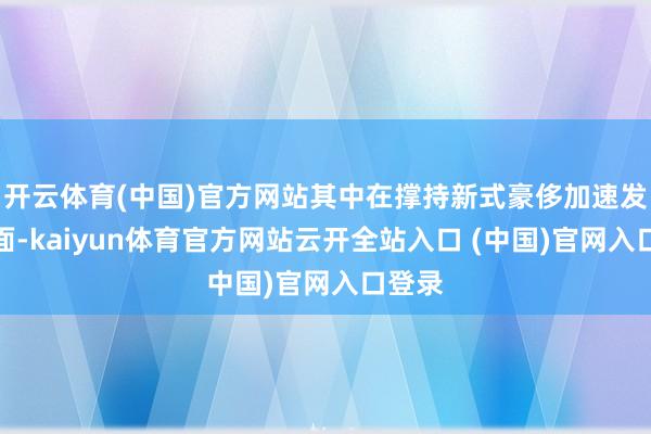 开云体育(中国)官方网站其中在撑持新式豪侈加速发展方面-kaiyun体育官方网站云开全站入口 (中国)官网入口登录