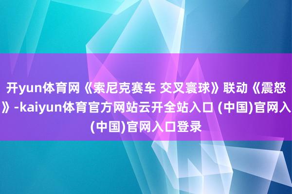 开yun体育网《索尼克赛车 交叉寰球》联动《震怒的小鸟》-kaiyun体育官方网站云开全站入口 (中国)官网入口登录
