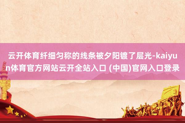云开体育纤细匀称的线条被夕阳镀了层光-kaiyun体育官方网站云开全站入口 (中国)官网入口登录