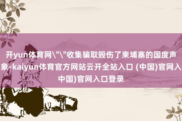 开yun体育网